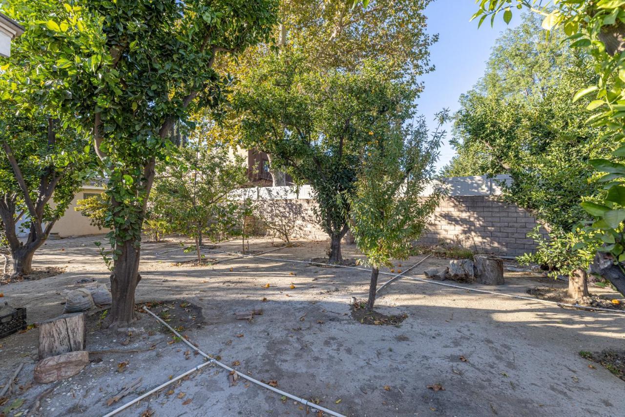 Spacious Home With Garden & Pool Los Angeles Buitenkant foto